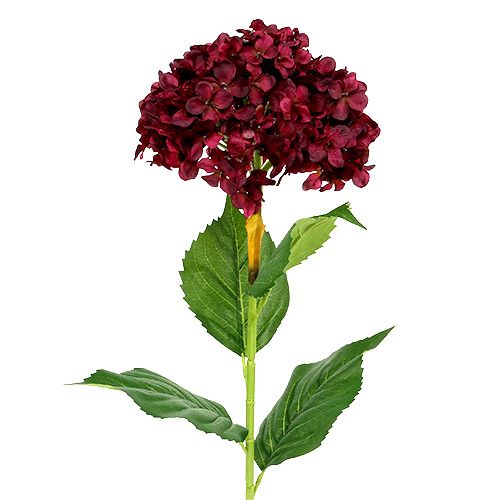 Floristik24 Ortensia artificiale rosso scuro 80 cm 1 pezzo