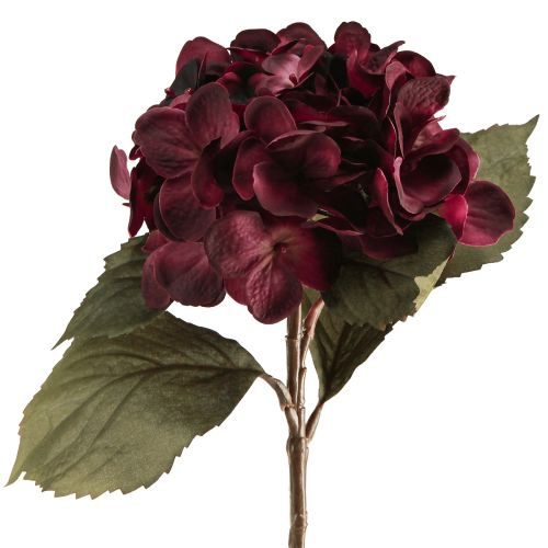 Floristik24 Fiori artificiali di ortensia Bordeaux 52cm