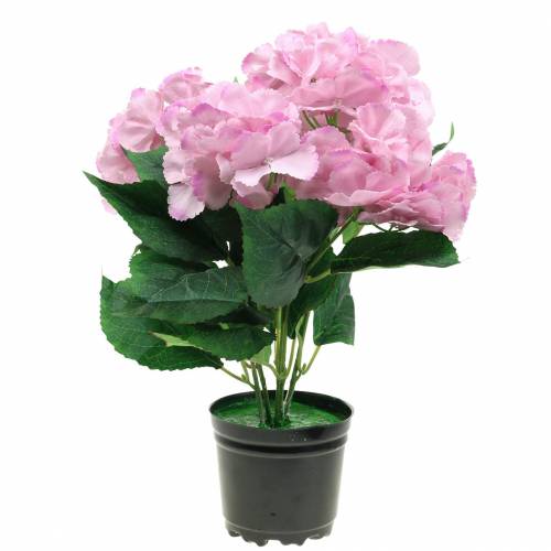 Floristik24 Ortensia in vaso rosa artificiale 35 cm