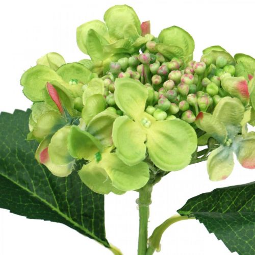 Prodotto Ortensia artificiale, decorazione floreale, fiore di seta verde L44cm