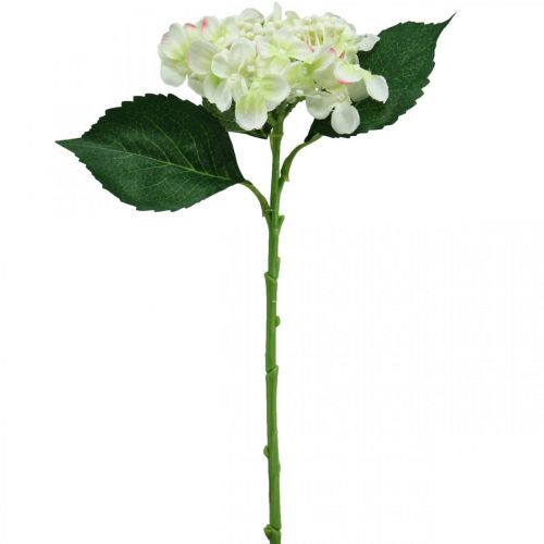 Prodotto Ortensia, fiore di seta, fiore artificiale per decorazioni da tavola bianco, verde L44cm