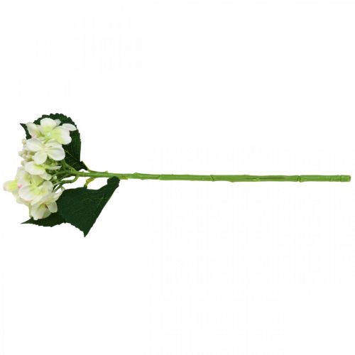 Prodotto Ortensia, fiore di seta, fiore artificiale per decorazioni da tavola bianco, verde L44cm