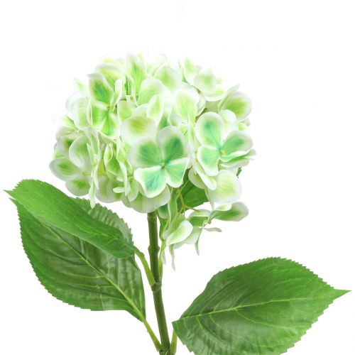Ortensia verde artificiale, bianca 68 cm