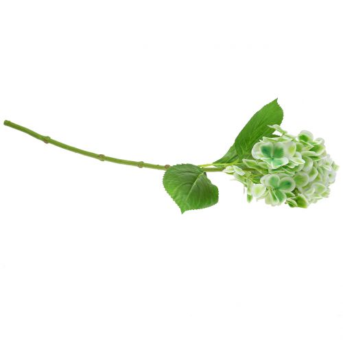 Prodotto Ortensia verde artificiale, bianca 68 cm