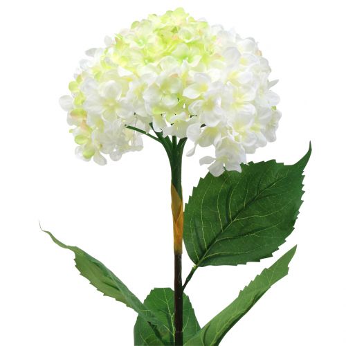 Floristik24 Ortensia bianca artificiale 80 cm