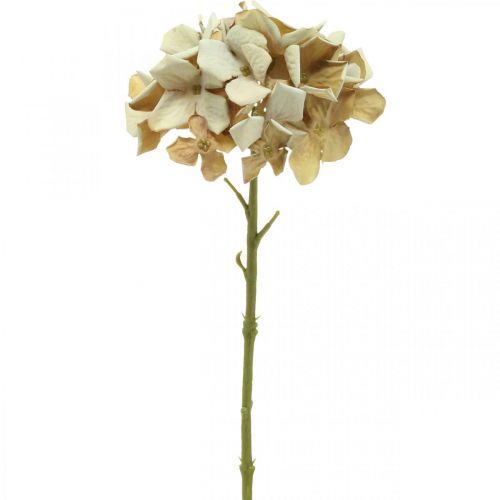 Prodotto Ortensia fiore artificiale marrone, bianco decorazione autunnale fiore di seta H32cm