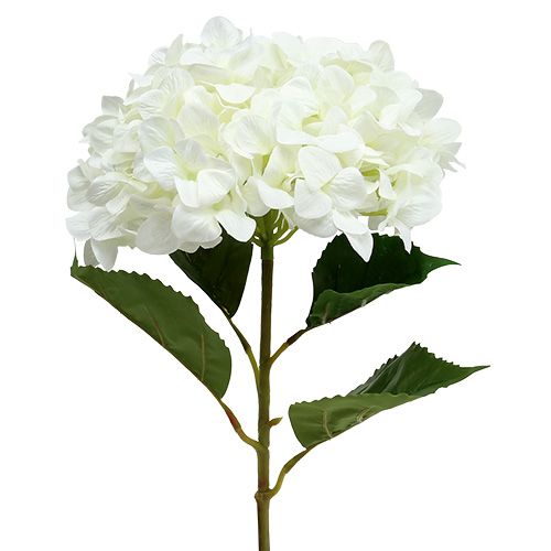 Floristik24 Ortensia Maxi Bianca Ø30cm L113cm