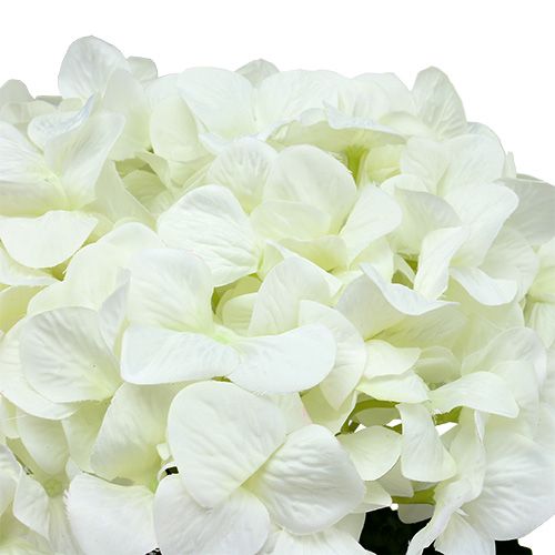 Floristik24 Ortensia Maxi Bianca Ø30cm L113cm
