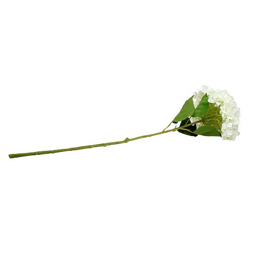 Floristik24 Ortensia Maxi Bianca Ø30cm L113cm