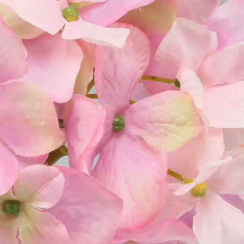 Floristik24 Ortensia rosa 68 cm