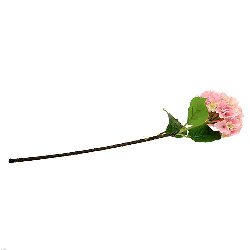 Floristik24 Ortensia rosa L 70 cm