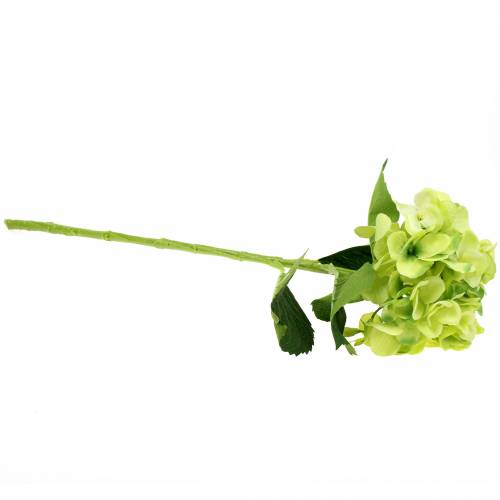 Floristik24 Ortensia verde 54cm