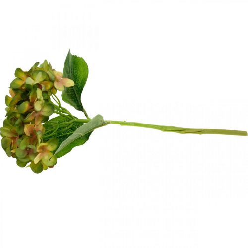Floristik24 Ortensia artificiale Verde, Fiore artificiale giallo H35cm
