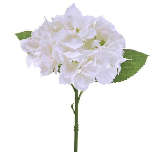 Floristik24 Ortensie Fiori artificiali bianchi artificiali Fiori Real Touch 33 cm