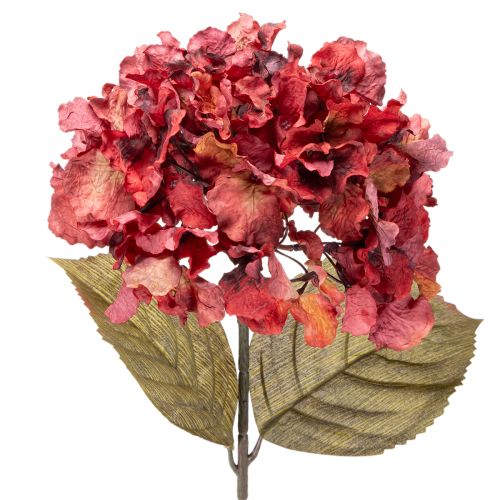 Ramo fiorito di ortensia artificiale, fiore grande, 74 cm acquistare | Floristik24.it