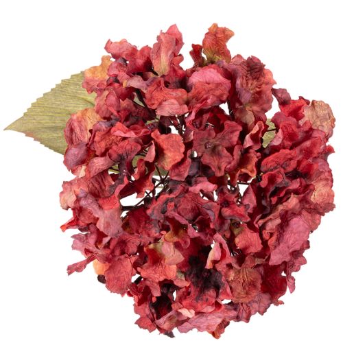 Ramo fiorito di ortensia artificiale, fiore grande, 74 cm | Floristik24.it