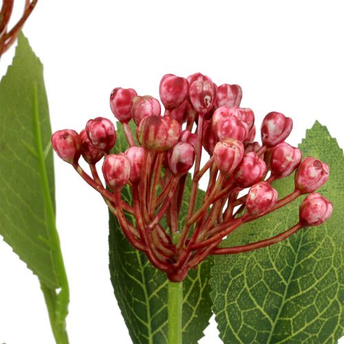 Floristik24 Ramo di gemme di ortensie 55 cm rosa 6 pezzi