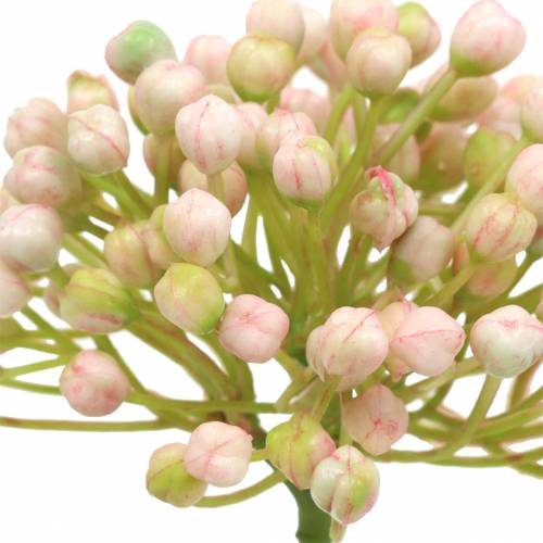 Prodotto Raccoglitore di boccioli di ortensia 21 cm rosa 12 pezzi