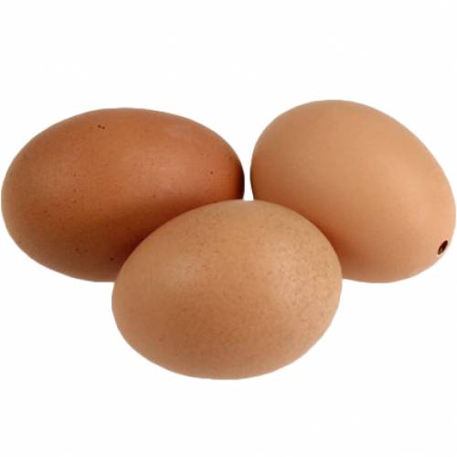 Prodotto Uova Di Gallina Marroni 10pz