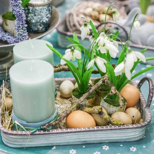 Prodotto Uova di gallina dorate 10 pz