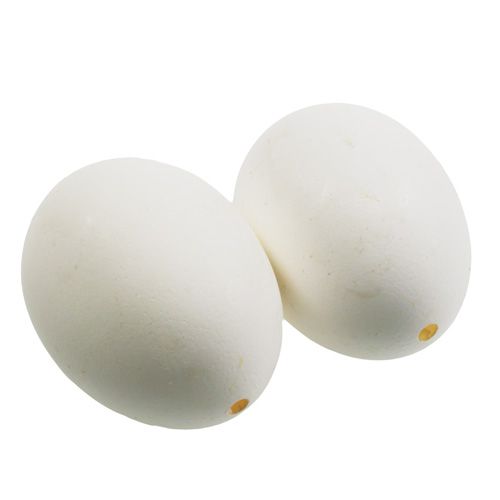 Uova di gallina bianche 10pz