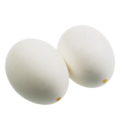 Floristik24 Uova di gallina bianche 10 pz