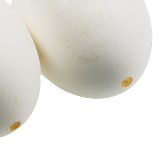 Floristik24 Uova di gallina bianche 10 pz
