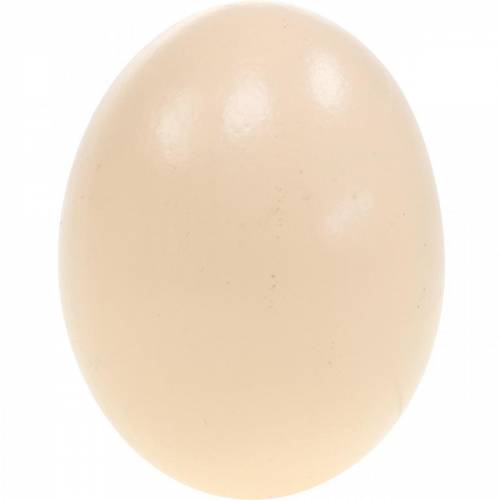 Prodotto Uova Di Gallina Crema Decorazione Pasquale Uova Soffiate 10 pz