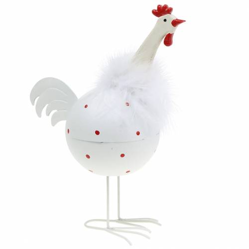 Floristik24 Pollo bianco a pois 21 cm