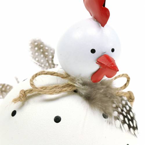 Floristik24 Figura Deco pollo bianco con pois e piume H13cm 2pz