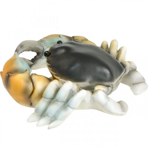 Floristik24 Creatura marina, granchio da spiaggia, decorazione marittima marrone-arancio 31×25cm
