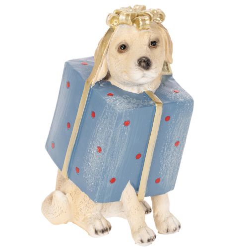 Statuetta decorativa di un cucciolo seduto in una confezione regalo, 20 cm acquistare | Floristik24.it