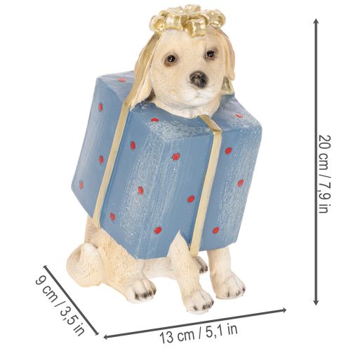 Statuetta decorativa di un cucciolo seduto in una confezione regalo, 20 cm | Floristik24.it
