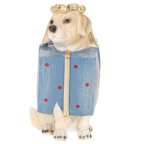 Statuetta decorativa di un cucciolo seduto in una confezione regalo, 20 cm | Floristik24.it