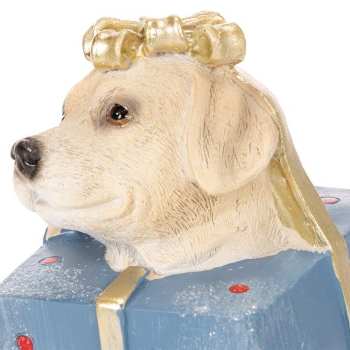 Statuetta decorativa di un cucciolo seduto in una confezione regalo, 20 cm | Floristik24.it