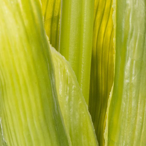 Prodotto Giacinto Real-Touch Rosa 40cm