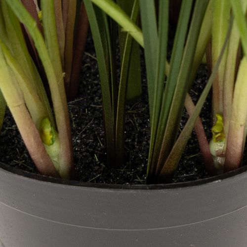 Prodotto Pianta di giacinto artificiale in vaso, decorazione perfetta per la casa e l'ufficio, 26 cm