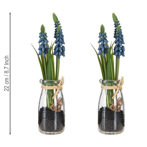 Prodotto Giacinto artificiale Giacinto perlato blu in vetro H22cm 2pz