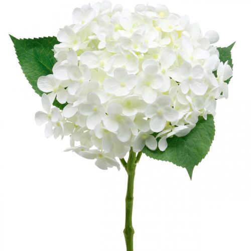 Floristik24 Ortensia artificiale bianca 53cm