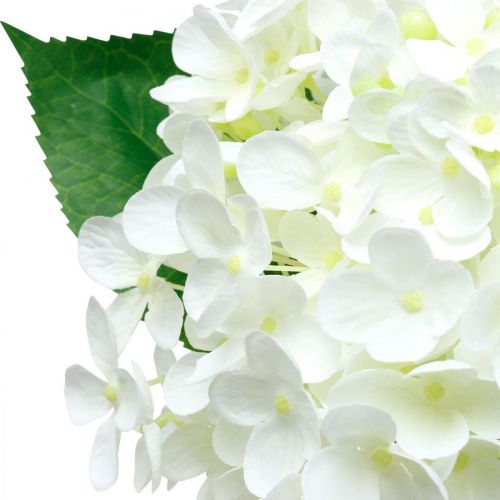 Floristik24 Ortensia artificiale bianca 53cm