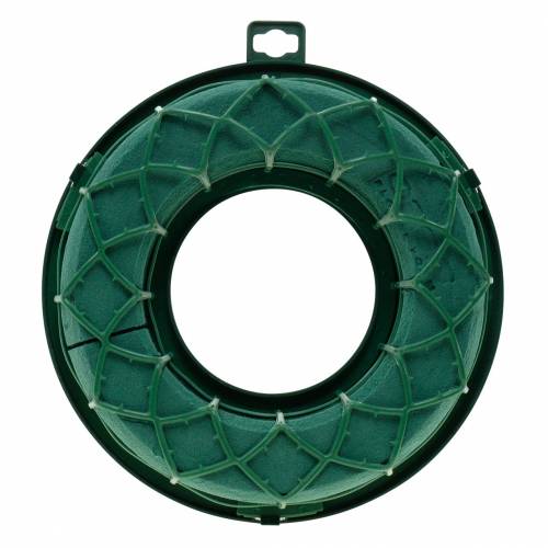 OASIS® IDEAL anello universale corona floreale in schiuma verde H4cm Ø18,5cm 5 pezzi