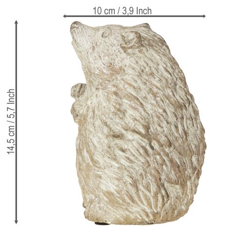 Prodotto Decorazione autunnale a forma di riccio in pietra fusa, dipinta di bianco, altezza 14,5 cm