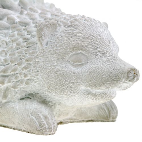 Floristik24 Figura da giardino riccio 18,5 cm x 11,5 cm