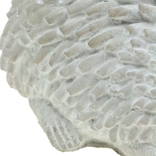 Floristik24 Figura da giardino riccio 18,5 cm x 11,5 cm