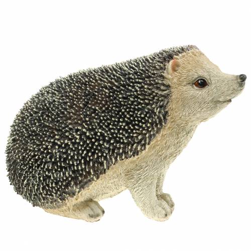 Floristik24 Figura decorativa riccio 22cm