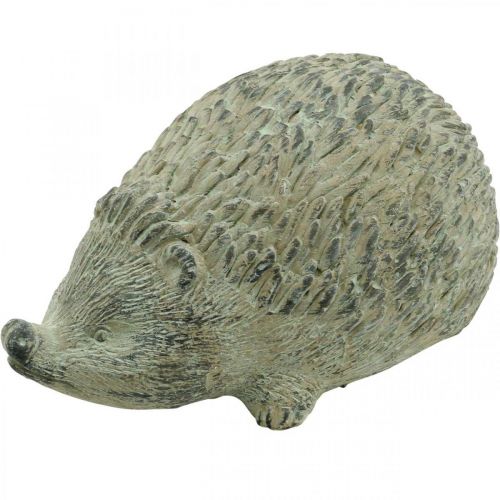 Floristik24 Figura decorativa riccio 22cm decorazione del giardino autunno verde antico 20 × 12 × H10cm