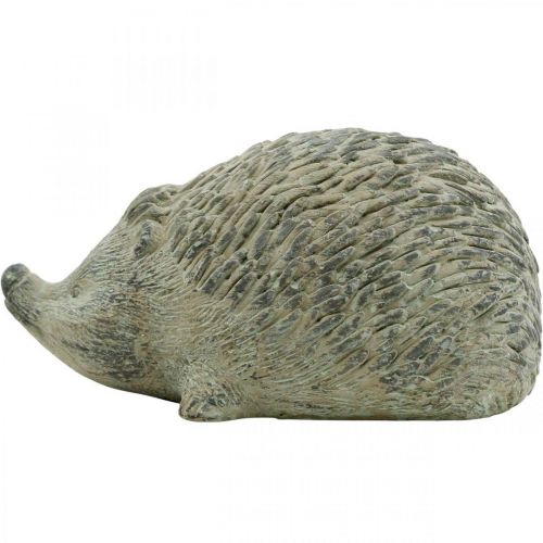 Floristik24 Figura decorativa riccio 22cm decorazione del giardino autunno verde antico 20 × 12 × H10cm