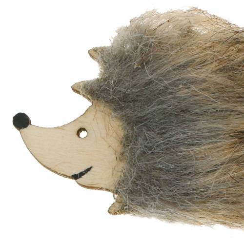 Floristik24 Riccio decorativo autunnale con pelliccia 7 cm 24 pz