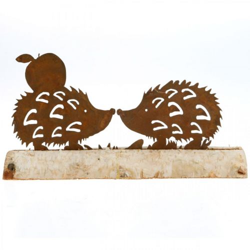 Floristik24 Decorazione autunnale in metallo con corteccia di betulla deco riccio ruggine 20×4 cm H10,5 cm