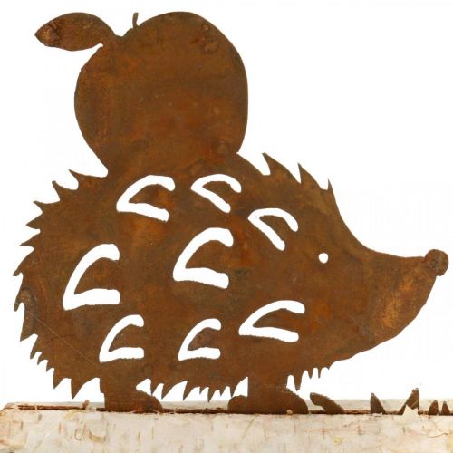 Floristik24 Decorazione autunnale in metallo con corteccia di betulla deco riccio ruggine 20×4 cm H10,5 cm